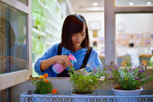 Imagen general del Ancient Street No. 1 Guesthouse. Foto 5