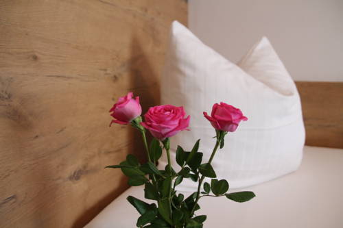 Imagen de la habitación del Anderschitz Landhotel. Foto 11