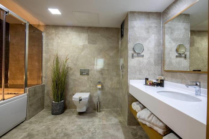 Imagen de la habitación del Anemon Diyarbakır Hotel. Foto 7