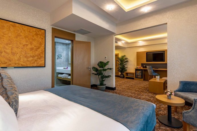 Imagen de la habitación del Anemon Diyarbakır Hotel. Foto 10