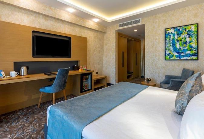 Imagen de la habitación del Anemon Diyarbakır Hotel. Foto 11