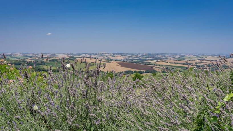 Imagen de la habitación del An-f453-cbgn2at - Casale Verdicchio. Foto 19
