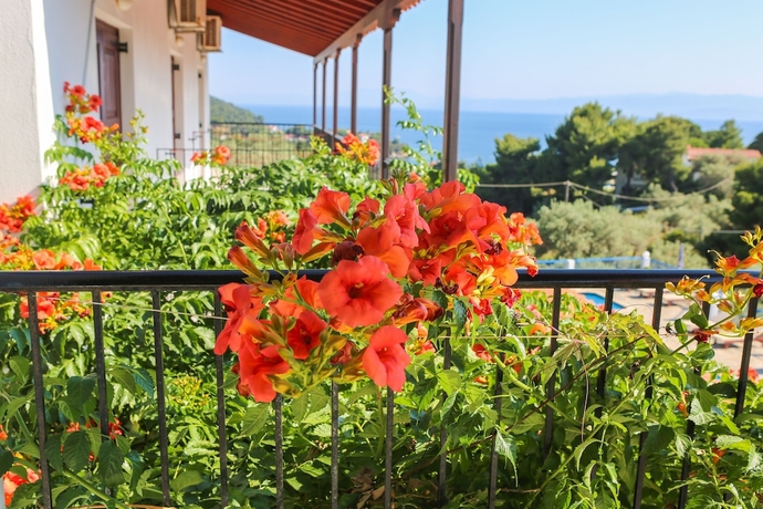 Imagen general del Angelina Studios. Foto 2