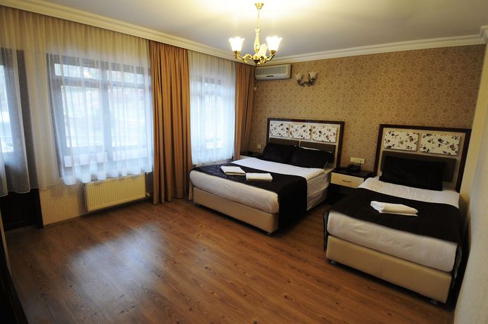 Imagen de la habitación del Ankara Hotel Pino. Foto 10