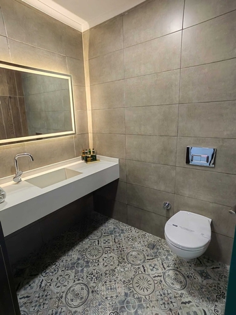 Imagen de la habitación del Ankara Lxry Park Hotel. Foto 15