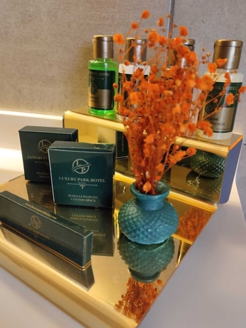 Imagen de la habitación del Ankara Lxry Park Hotel. Foto 16