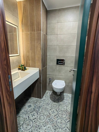 Imagen de la habitación del Ankara Lxry Park Hotel. Foto 17