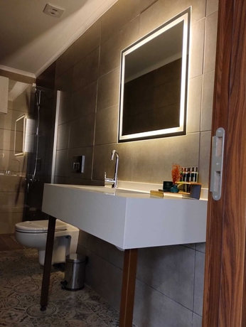 Imagen de la habitación del Ankara Lxry Park Hotel. Foto 18