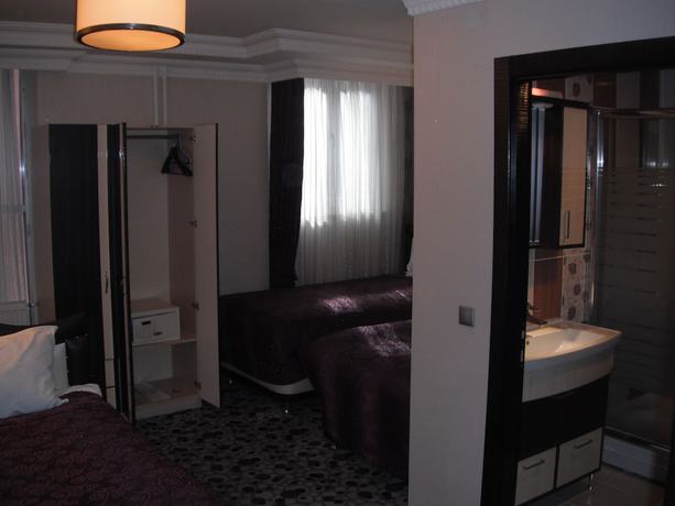 Imagen de la habitación del Ankara Risiss Hotel. Foto 6
