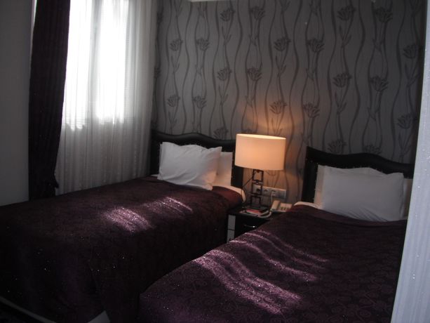 Imagen de la habitación del Ankara Risiss Hotel. Foto 12
