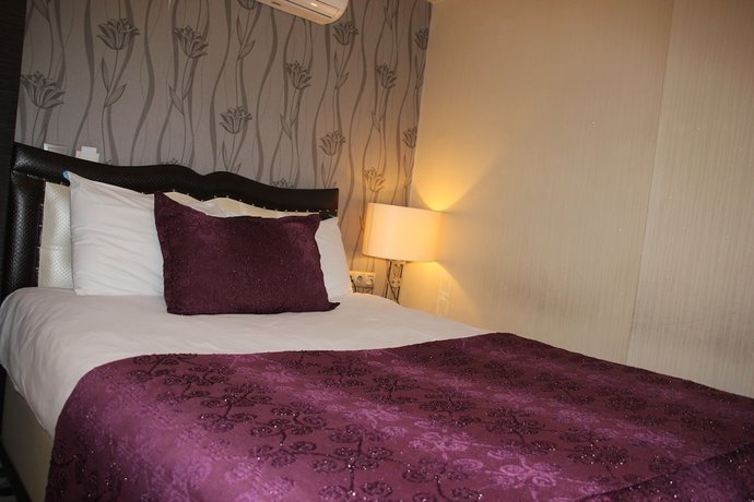 Imagen de la habitación del Ankara Risiss Hotel. Foto 19