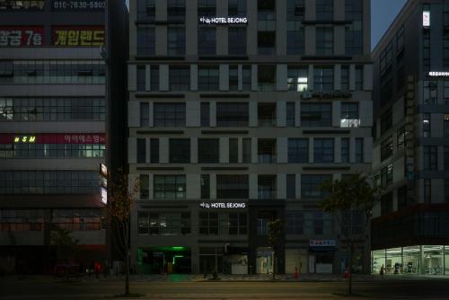 Imagen general del Annk Hotel Sejong. Foto 5