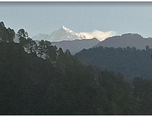 Imagen general del Anoop Tourist Guest House, Phata. Foto 2