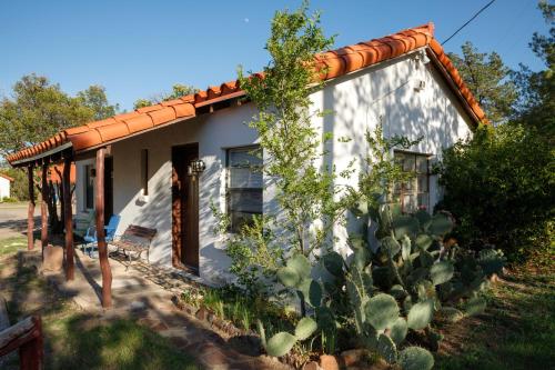 Imagen general del Antelope Lodge. Foto 3