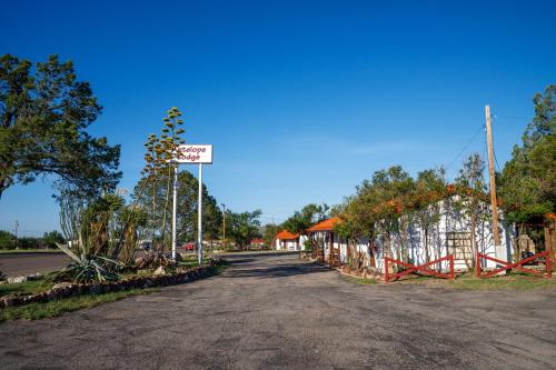 Imagen de la habitación del Antelope Lodge. Foto 8