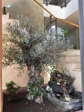 Imagen de los interiores del Antika Snoga. Foto 9