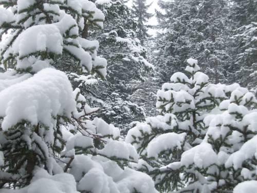 Imagen general del Apart Anna. Foto 2