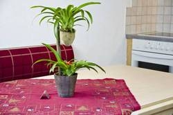 Imagen de la habitación del Apart Bergblick. Foto 49