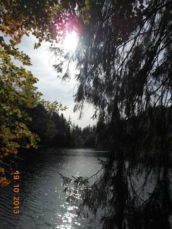 Imagen general del Apart Fridl. Foto 4