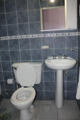 Imagen general del Apart Hotel Antu Mahuida. Foto 12