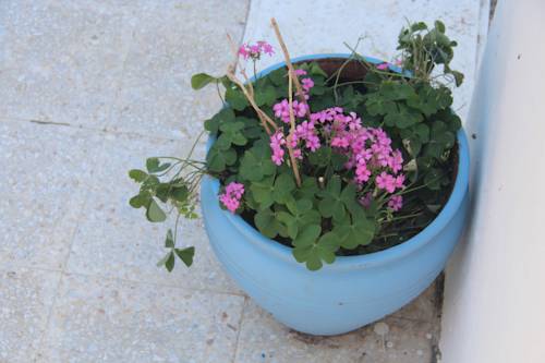 Imagen de la habitación del Apart Hotel Ege, Ayvalik. Foto 6