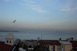 Imagen general del Apart Hotel Hippodrome. Foto 15