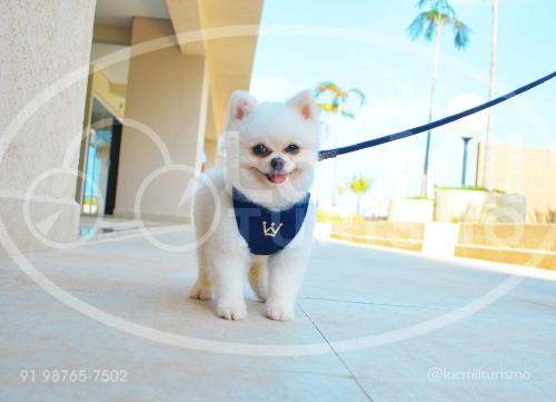 Imagen general del Apartamento em Resort - Park. Foto 2