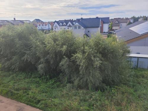 Imagen general del Apartamenty Majer Łeba. Foto 9