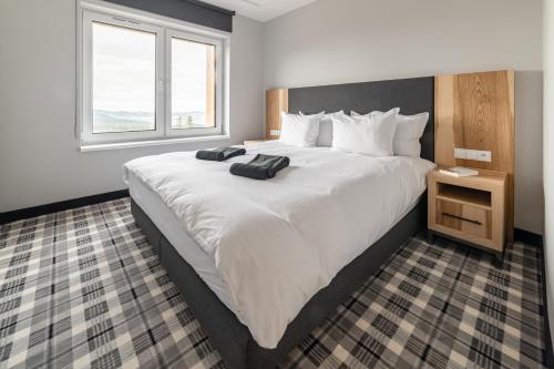 Imagen de la habitación del Apartamenty Seidorf. Foto 15