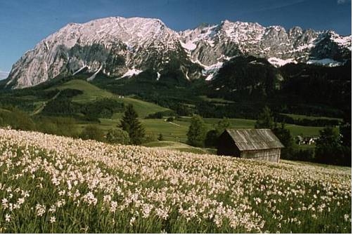 Imagen general del Apartement Hilbel. Foto 5