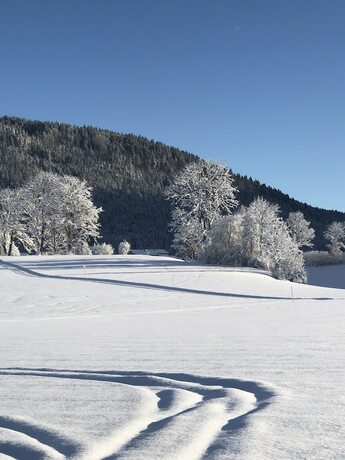 Imagen general del Aparthotel Chiemgaufuchs. Foto 5