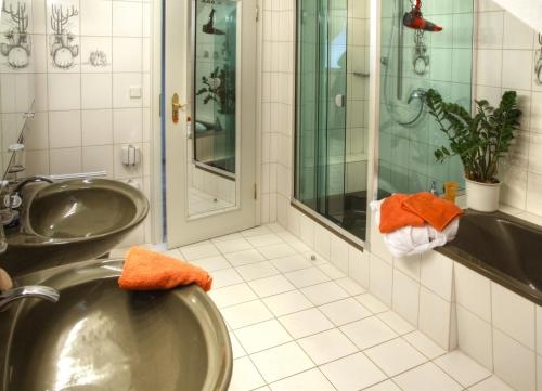 Imagen general del Aparthotel J&auml;gerhaus. Foto 4