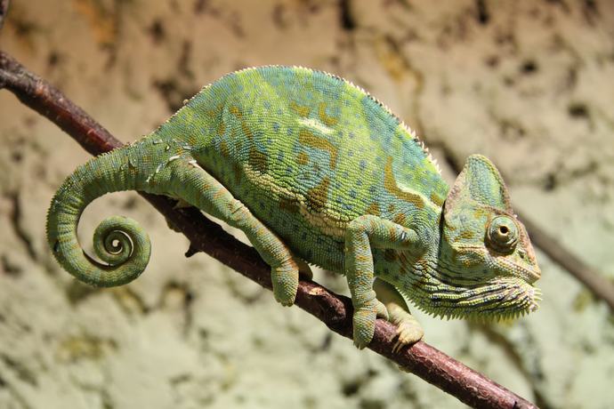 Imagen de los exteriores del Aparthotel Tropenhaus Bansin. Foto 20