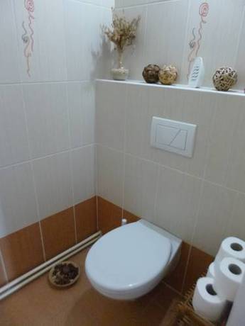 Imagen de la habitación del Apartm&aacute;ny Brno. Foto 13