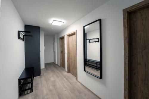 Imagen de la habitación del Apartm&aacute;ny Ml&yacute;n Herl&iacute;kovice. Foto 13