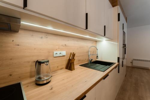 Imagen general del Apartm&aacute;ny Ml&yacute;n Herl&iacute;kovice. Foto 11