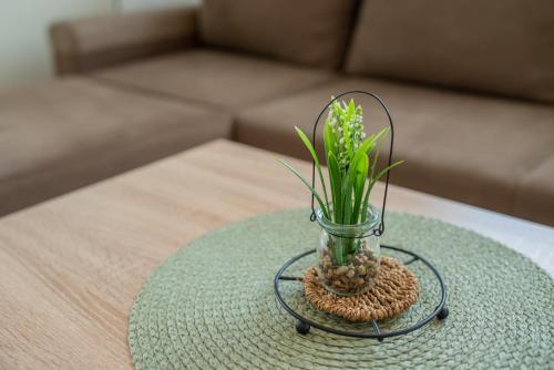 Imagen general del Apartmani SASKUR. Foto 3