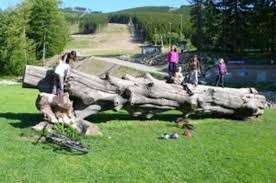 Imagen general del Apartmany Kouty. Foto 5