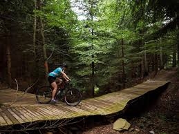 Imagen general del Apartmany Kouty. Foto 9