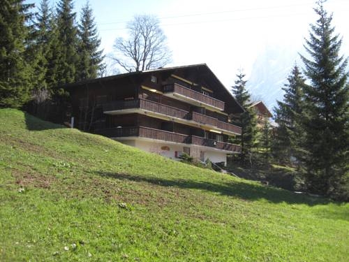 Imagen general del Apartment Chalet Bodmisonne. Foto 3