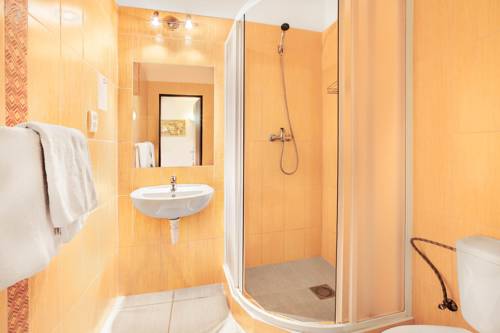 Imagen de la habitación del Apartment House Zizkov. Foto 3