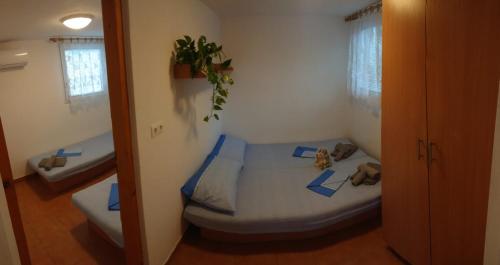 Imagen general del Apartments Villaggio Riccio. Foto 13