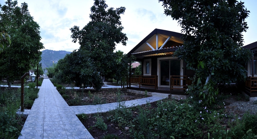Imagen de los exteriores del Apella Hotel. Foto 16