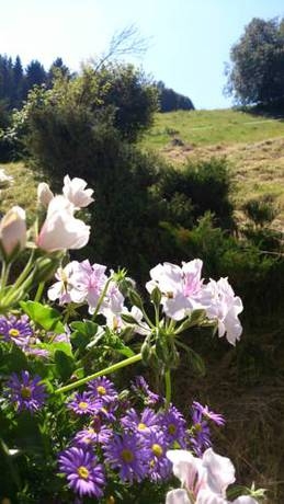 Imagen general del Appartement Auschmiede. Foto 7