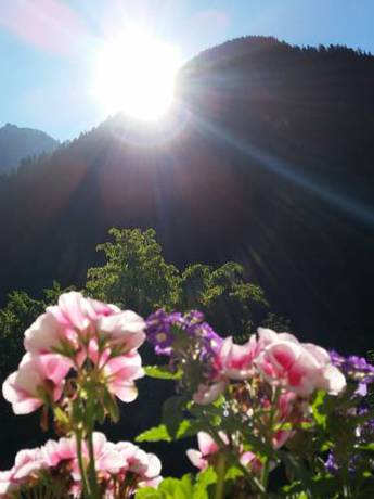 Imagen de la habitación del Appartement Haus Zalim. Foto 6