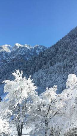 Imagen de la habitación del Appartement Haus Zalim. Foto 8