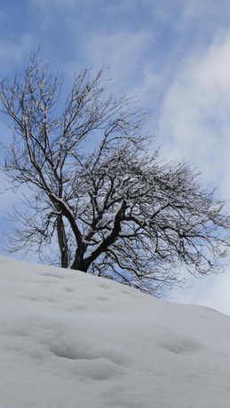 Imagen general del Appartement Neumann. Foto 12