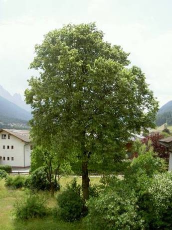 Imagen general del Appartement Pavillon. Foto 2