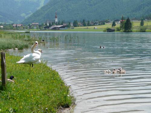 Imagen de la habitación del Appartement Pillersee. Foto 4