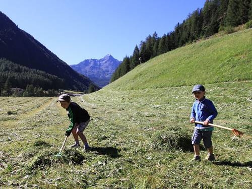 Imagen general del Appartement Skorpion. Foto 15